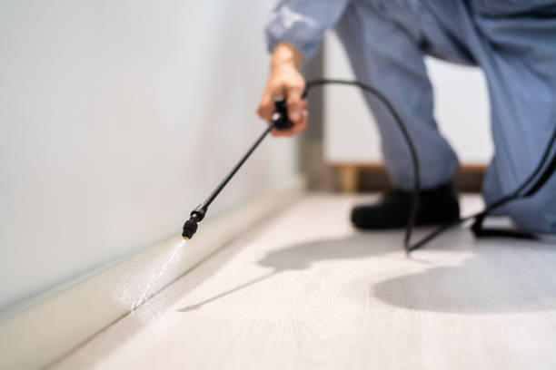 Licensed Pest Control service in Baldwin Park, CA - Show Me Pest Control